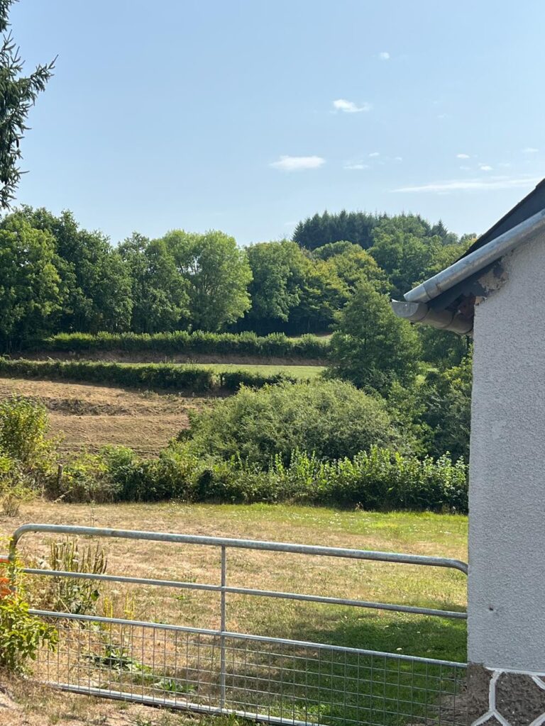 Petit Manille 3