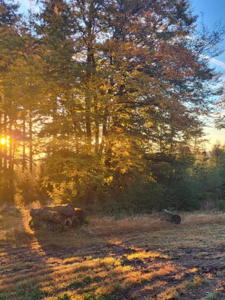 omgeving petit manille 2