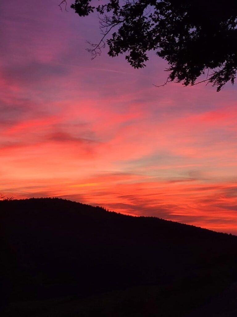 omgeving petit manille 3 (1)