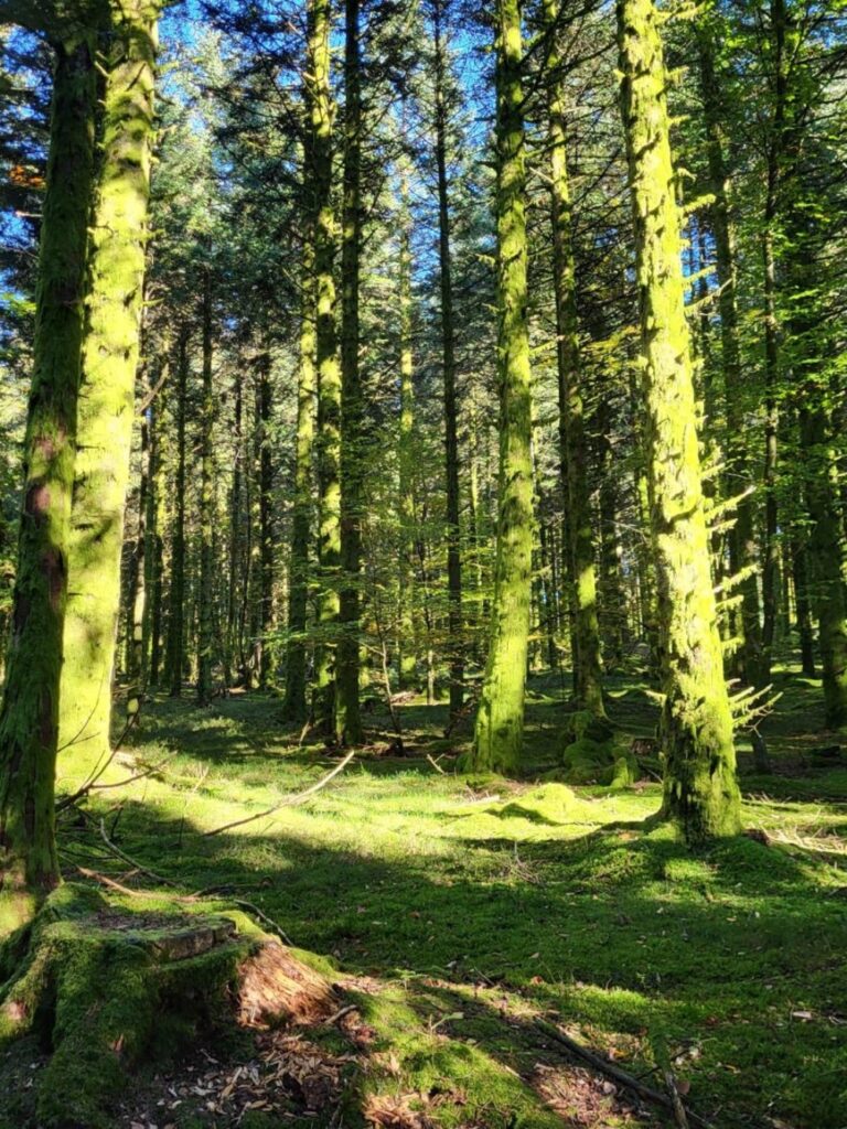 omgeving petit manille 5