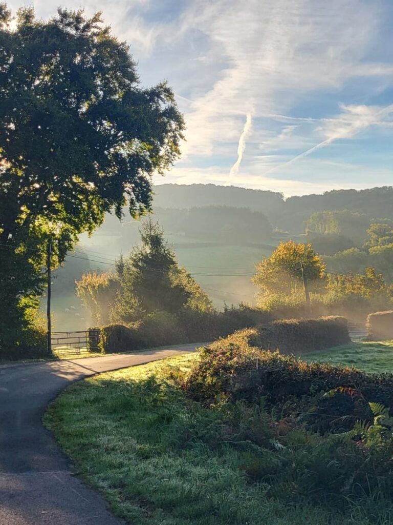 omgeving petit manille